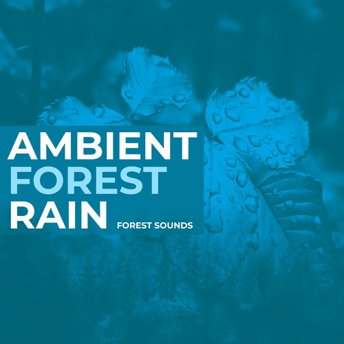 Forest Rain Radio - Listen to Forest Sounds, Free on Pandora Internet Radio