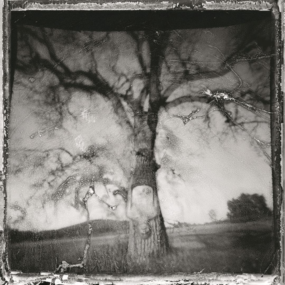 Daylight Breaking Album Art