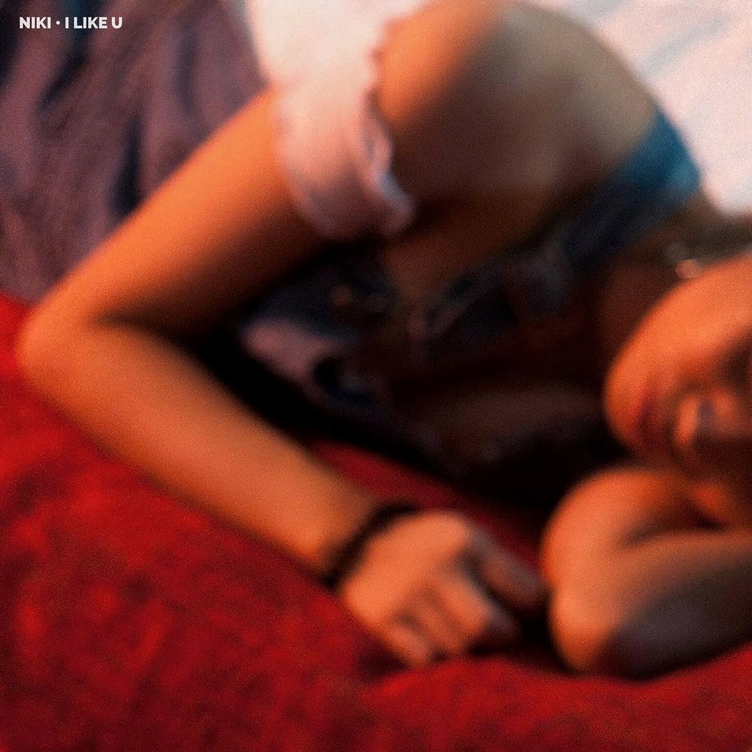 Lowkey By Niki Pandora