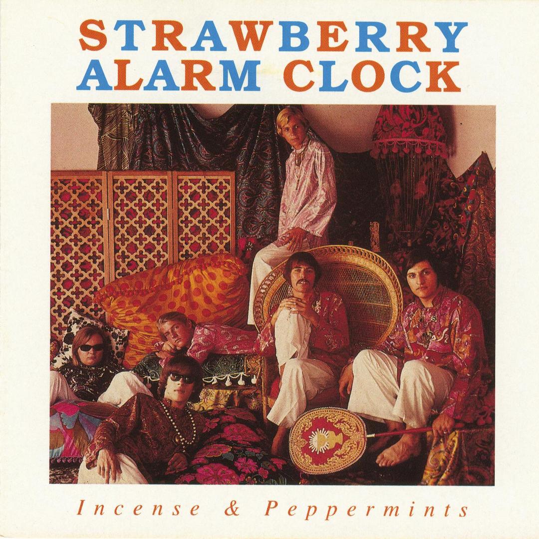 Rainy Day Mushroom Pillow By Strawberry Alarm Clock Pandora